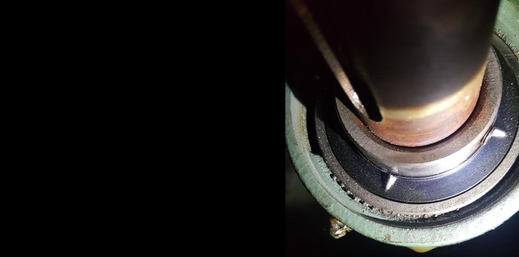 bearings